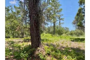 434 RANCHETTE ROAD, NEW SMYRNA BEACH, FL 32168 Sold 03/26/26