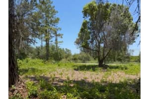 434 RANCHETTE ROAD, NEW SMYRNA BEACH, FL 32168 Sold 03/26/26