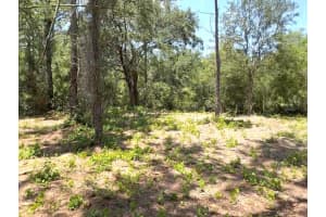 434 RANCHETTE ROAD, NEW SMYRNA BEACH, FL 32168 Sold 03/26/26