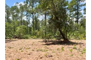 434 RANCHETTE ROAD, NEW SMYRNA BEACH, FL 32168 Sold 03/26/26