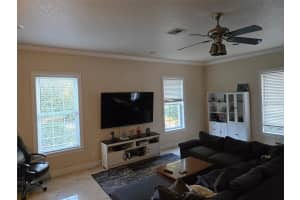 3620 LEOTA DRIVE, APOPKA, FL 32703 - MLS#MFRS5144959