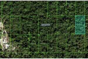 TBD UNINCORPORATED, POINCIANA, FL 34759 - MLS#MFRS5144998