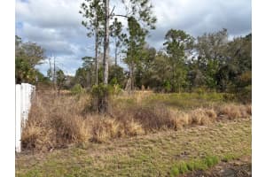 202 SPOONBILL DRIVE, POINCIANA, FL 34759 - MLS#MFRS5145070