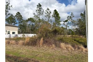 202 SPOONBILL DRIVE, POINCIANA, FL 34759 - MLS#MFRS5145070