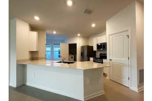 339 PUMA LOOP, GROVELAND, FL 34736 - MLS#MFRS5145144