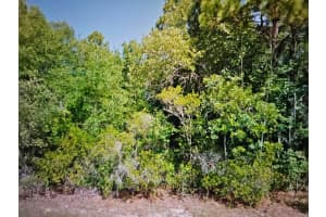 2531 DOLPHIN DRIVE, CITRUS SPRINGS, FL 34434 - MLS#MFRS5145372