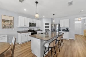 4893 PANGA AVENUE, MOUNT DORA, FL 32757 - MLS#MFRS5145484