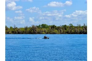 13415 BLUE HERON BEACH DRIVE, ORLANDO, FL 32821 - MLS#MFRS5145527