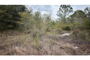 336 PERSHING AVENUE, LAKE PLACID, FL 33852 - MLS#MFRS5145566