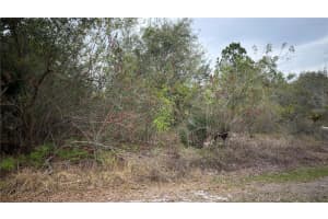 336 PERSHING AVENUE, LAKE PLACID, FL 33852 - MLS#MFRS5145566