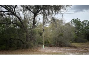 336 PERSHING AVENUE, LAKE PLACID, FL 33852 - MLS#MFRS5145566