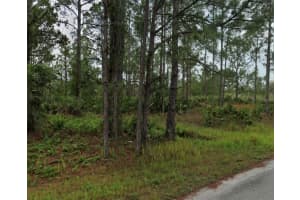 5639 SAN JUAN DRIVE, SEBRING, FL 33872 - MLS#MFRS5145581