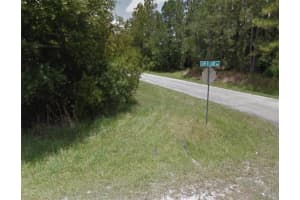 8810 SUN N LAKE BOULEVARD, SEBRING, FL 33872 - MLS#MFRS5145585