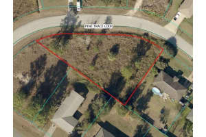 PINE TRACE LOOP, OCALA, FL 34472 - MLS#MFRS5145615