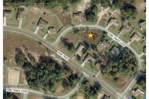 PINE TRACE LOOP, OCALA, FL 34472 - MLS#MFRS5145615