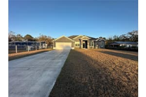 1105 SAINT NICHOLAS AVENUE, CHRISTMAS, FL 32709 - MLS#MFRS5145752