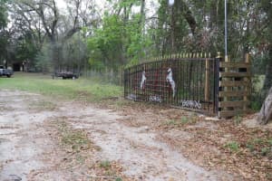 18240 MOUNT OLIVE DRIVE, DADE CITY, FL 33523 - MLS#MFRS5145767