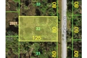 1267 PATTON STREET, PORT CHARLOTTE, FL 33953 - MLS#MFRS5145813