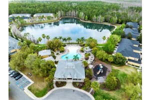 14215 DESERT HAVEN STREET, WINDERMERE, FL 34786 - MLS#MFRS5145972