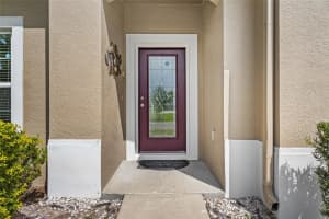 12315 SAWGRASS PRAIRIE LOOP, ORLANDO, FL 32824 - MLS#MFRS5146104