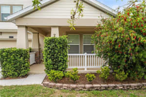 3117 DARK SKY DR, ST CLOUD, FL 34773 - MLS#MFRS5146409