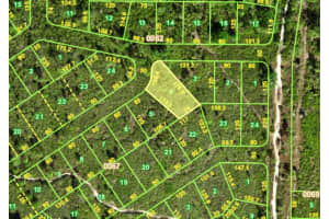 1100 SAWFISH LANE, PUNTA GORDA, FL 33982 - MLS#MFRS5146529