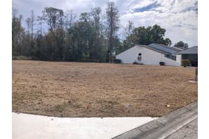 425 PRESTWICK PLACE, KISSIMMEE, FL 34759 - MLS#MFRS5146588