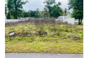 NW 13th ST, OCALA, FL 34482 - MLS#MFRS5146658