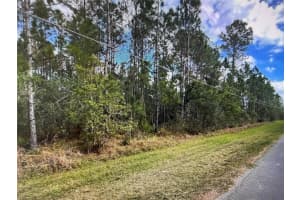 PADDOCK ST, ORLANDO, FL 32833 - MLS#MFRS5146863