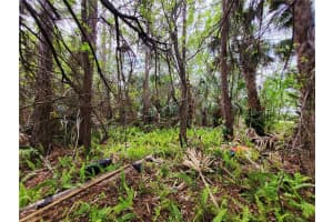 1720 LANTANA COURT, PALM BAY, FL 32907 - MLS#MFRS5146923