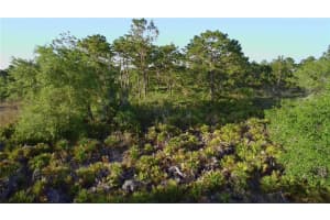 REYNOLDS PKWY, ORLANDO, FL 32833 - MLS#MFRS5147004