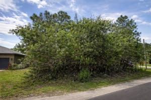 3342 FITZPATRICK AVENUE, PALM BAY, FL 32908 - MLS#MFRS5147101