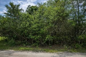 3342 FITZPATRICK AVENUE, PALM BAY, FL 32908 - MLS#MFRS5147101