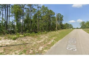 139 ST, OCALA, FL 34473 - MLS#MFRS5147104