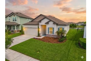 31041 JAZZ LEAF PLACE, SAN ANTONIO, FL 33576 - MLS#MFRS5147136