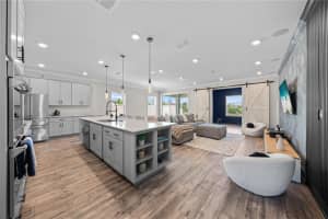 31041 JAZZ LEAF PLACE, SAN ANTONIO, FL 33576 - MLS#MFRS5147136