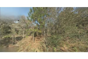 SW 22ND ST, OCALA, FL 34481 - MLS#MFRS5147193