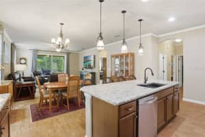 877 HARING LANE, MOUNT DORA, FL 32757 - MLS#MFRS5147275