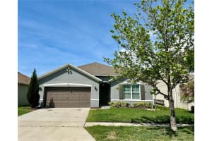 1519 Diamond Loop Dr, KISSIMMEE