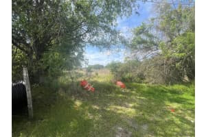 0 REE LANE, KISSIMMEE, FL 34741 - MLS#MFRS5147469
