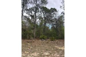 742 WELDON LANE, DUNNELLON, FL 34434 - MLS#MFRS5147615