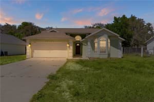 40045 PALM STREET, LADY LAKE, FL 32159 - MLS#MFRS5147721