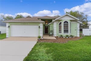 40045 PALM STREET, LADY LAKE, FL 32159 - MLS#MFRS5147721