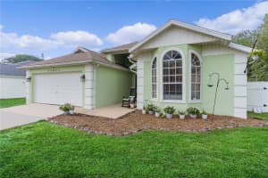 40045 PALM STREET, LADY LAKE, FL 32159 - MLS#MFRS5147721