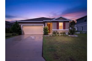 8053 CHERRYSTONE STREET, LEESBURG, FL 34748 - MLS#MFRS5147825
