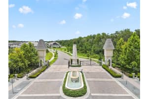 10734 BELLE MAISONS DRIVE, ORLANDO, FL 32832 - MLS#MFRS5147845