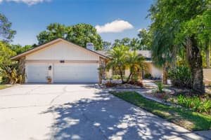5035 BARROWE DRIVE, TAMPA, FL 33624 - MLS#MFRS5148368