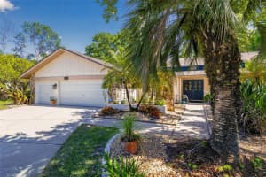 5035 BARROWE DRIVE, TAMPA, FL 33624 - MLS#MFRS5148368