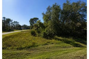 302 BOWFIN LANE, KISSIMMEE, FL 34759 - MLS#MFRS5148450