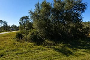 302 BOWFIN LANE, KISSIMMEE, FL 34759 - MLS#MFRS5148450